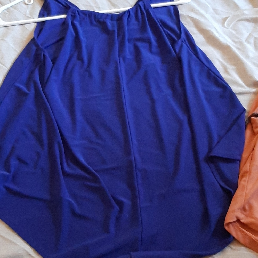 Blue Blouse That has only been worn once.